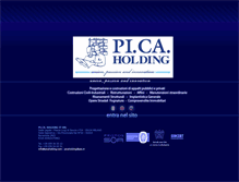 Tablet Screenshot of picaholding.com